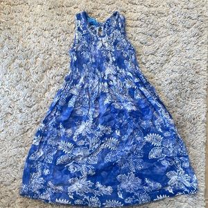 Blue Ginger Dress